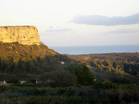 Villa Tamaris Gruissan Dış mekan fotoğraf