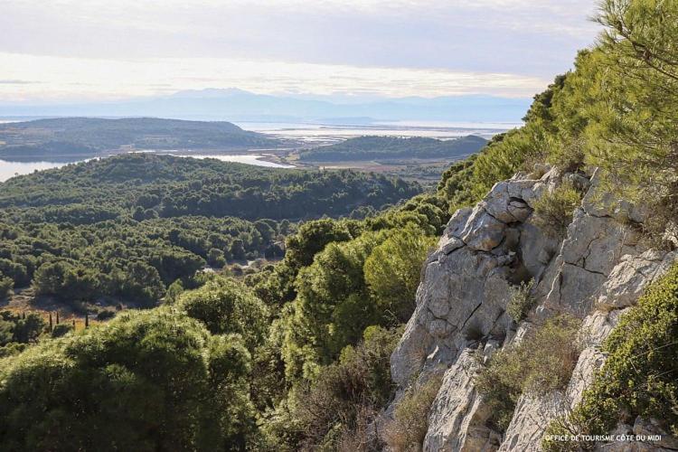 Villa Tamaris Gruissan Dış mekan fotoğraf